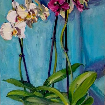 12-Orchids-oil-on-board-30-x15ins